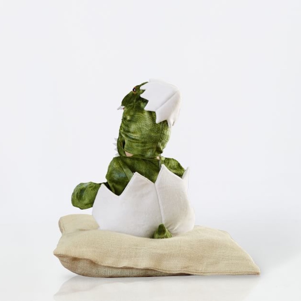 Baby Green Dinosaur Egg Halloween Costume - Pottery Barn - Picture 3 of 7